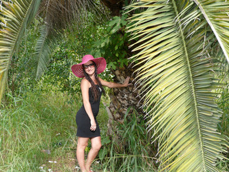 Similar image 833477