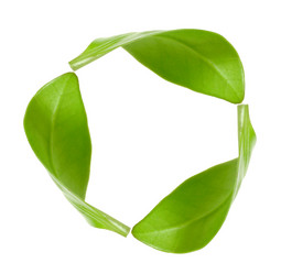 Similar image 833492