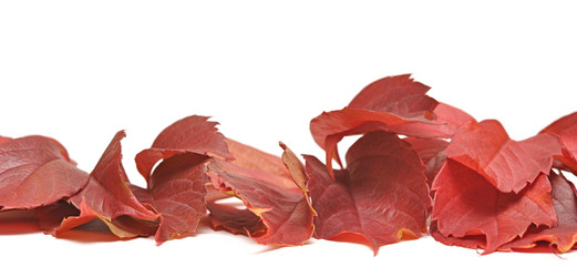 Similar image 833531