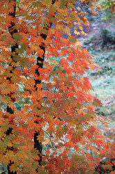 Similar image 833576