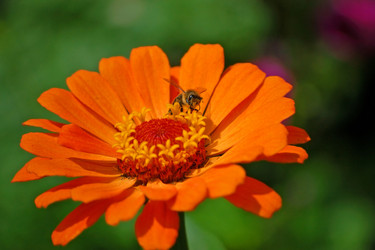 Similar image 833591