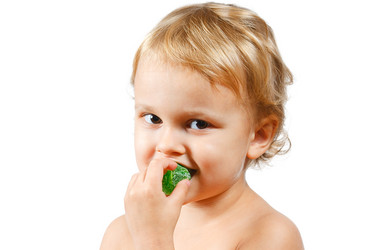 Similar image 833597