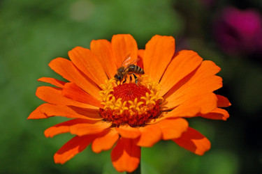 Similar image 833602