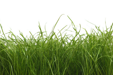 Similar image 833683