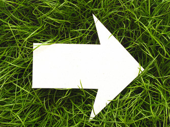 Similar image 833687