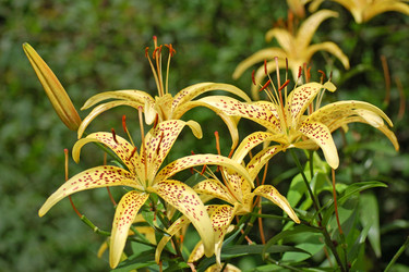 Similar image 833765