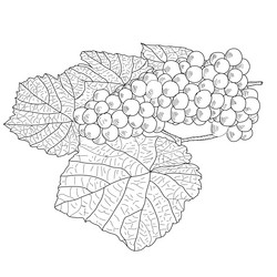 Similar image 833784