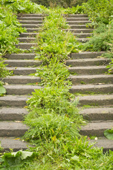 Similar image 833799