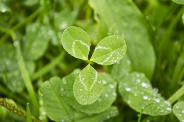 Similar image 833804