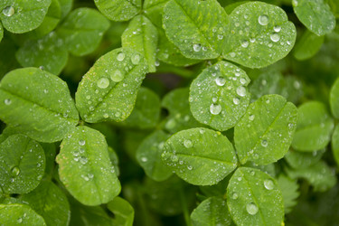 Similar image 833805