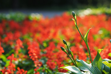 Similar image 833807