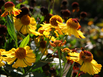 Similar image 833812