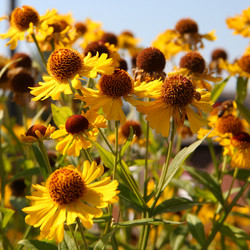 Similar image 833813