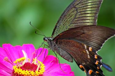 Similar image 833820