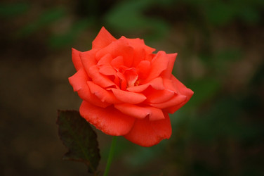 Similar image 833829