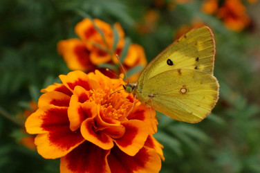 Similar image 833836