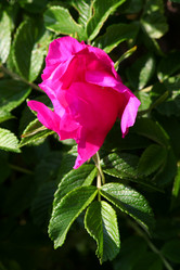 Similar image 833842