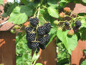 Similar image 833843