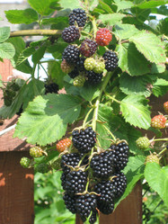 Similar image 833845