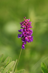 Similar image 833852