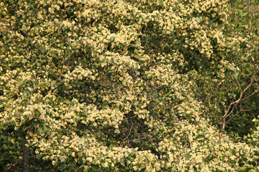 Similar image 833854