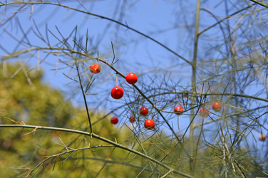 Similar image 833859