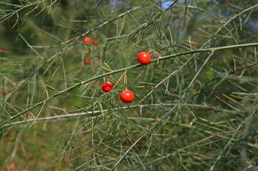 Similar image 833864