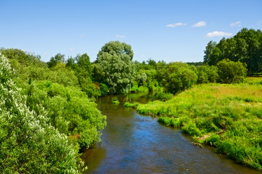 Similar image 833966