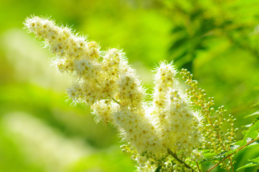 Similar image 833971