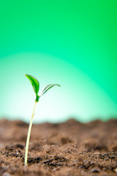 Similar image 833980