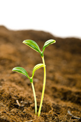 Similar image 833984