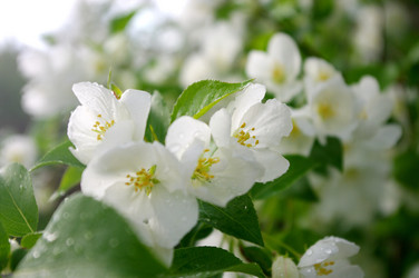 Similar image 833987