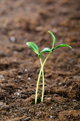 Similar image 833988