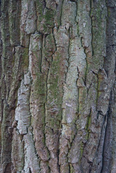 Similar image 834003