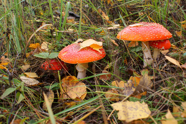 Similar image 834019