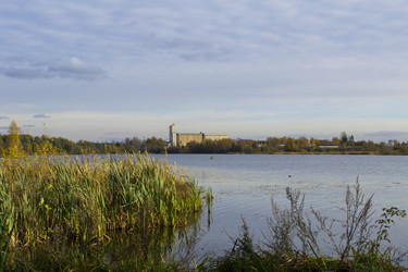 Similar image 834031