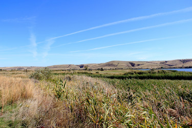 Similar image 834041