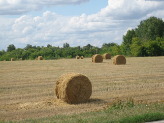 Similar image 834042