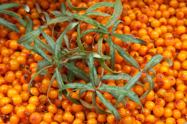 Similar image 834072