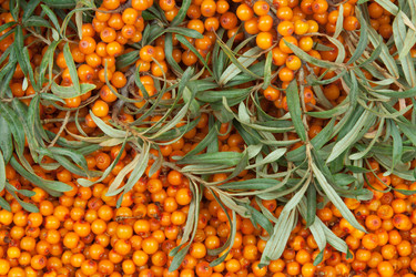 Similar image 834074