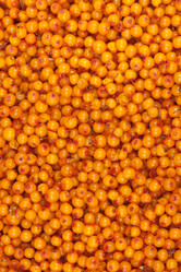 Similar image 834075