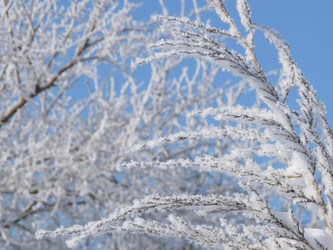 Similar image 834109