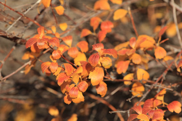 Similar image 834131