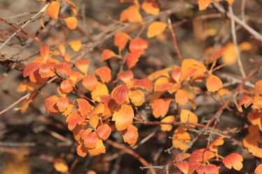 Similar image 834133