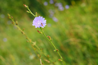 Similar image 834140