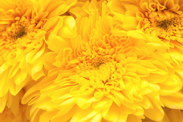 Similar image 834167