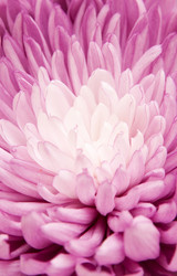 Similar image 834169