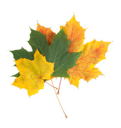 Similar image 834172