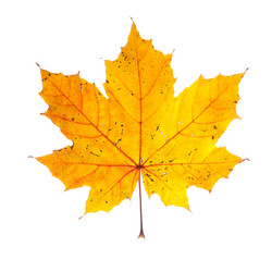 Similar image 834174