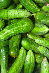 Similar image 834175